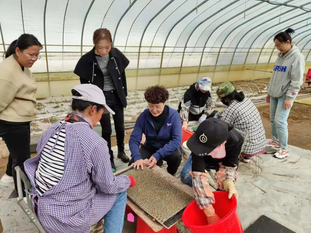 1683188298077064632.png 1683188298077064632.png