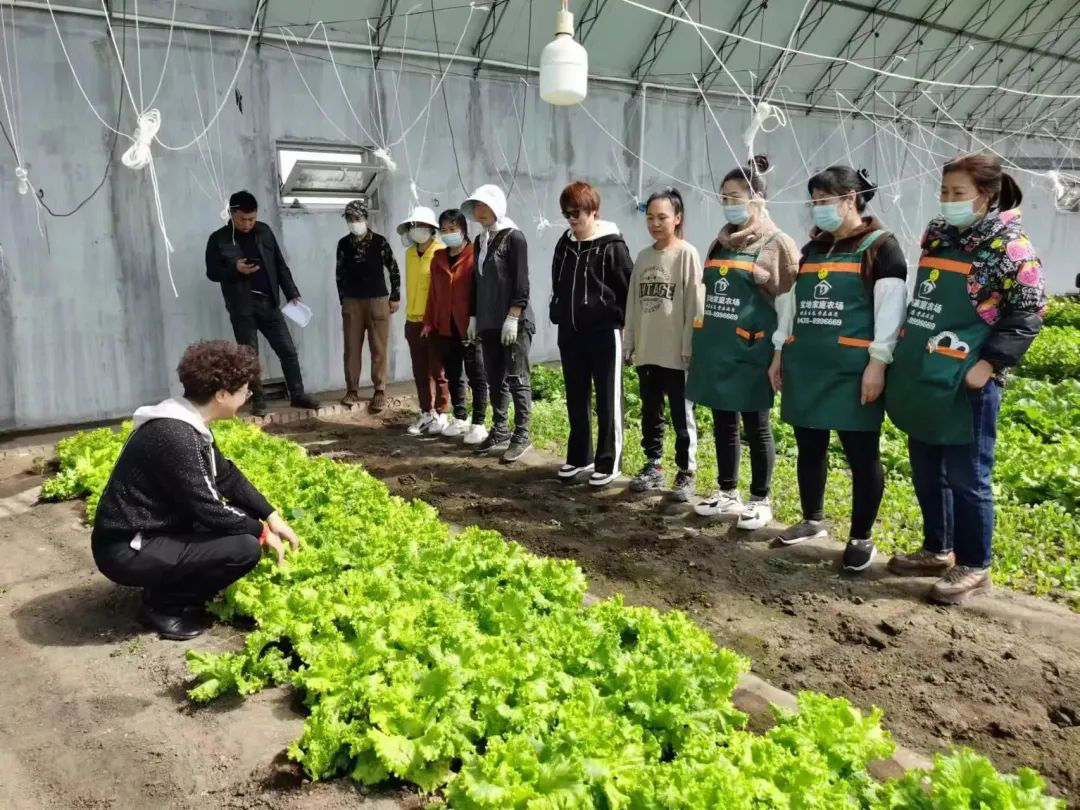 1683188298457000502.png 1683188298457000502.png